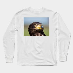 Close-up of an immature American bald eagle Long Sleeve T-Shirt